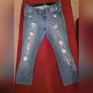 Torrid Blue Distressed Skinny Jeans